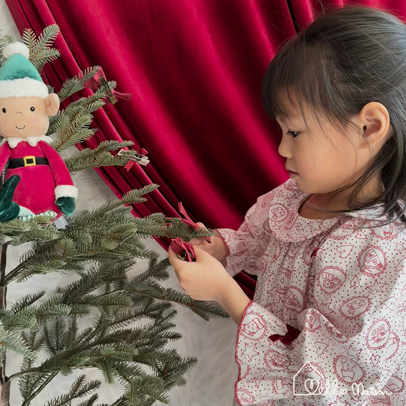 Holiday Jingle Cotton Dress